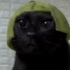 rice_cake214